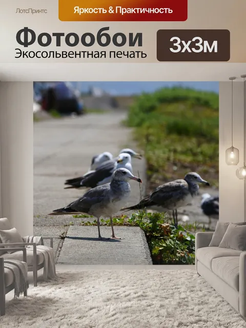 Фотообои Животное