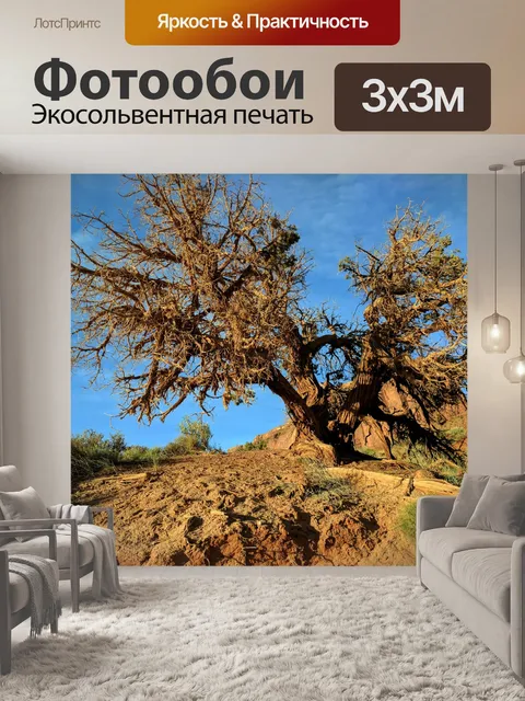 Фотообои Дерево пустыни