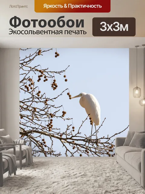 Фотообои Птицы