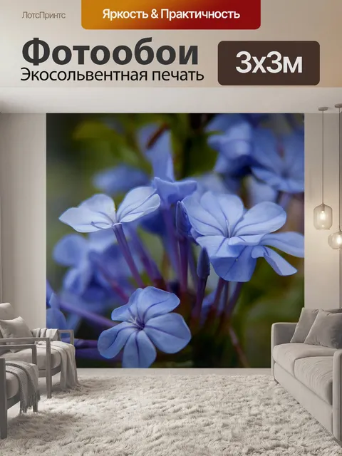 Фотообои Графит