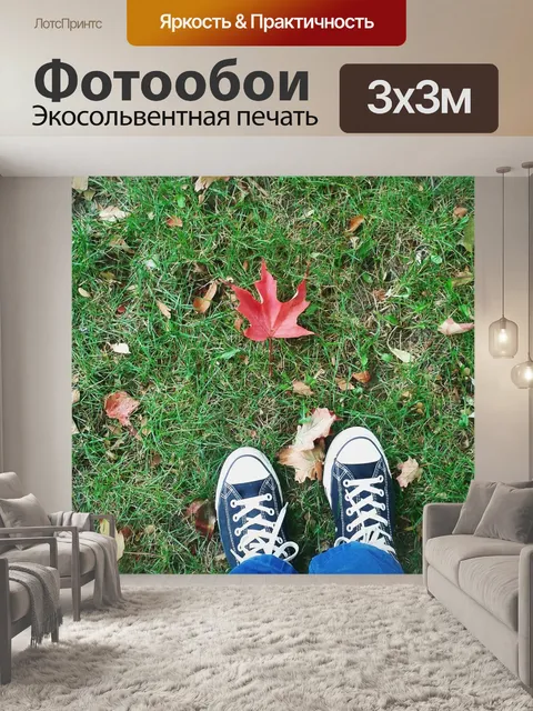 Фотообои Падение