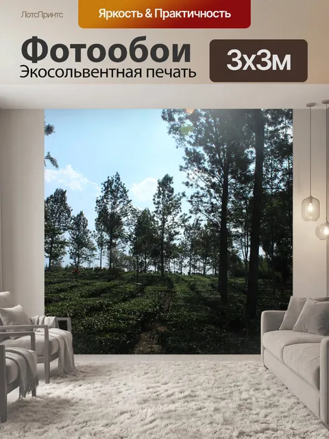 Фотообои Деревья