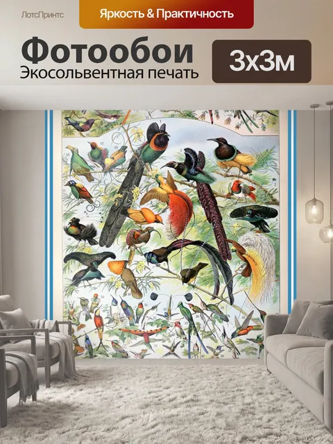 Фотообои Птицы от Адольфа Милло - B