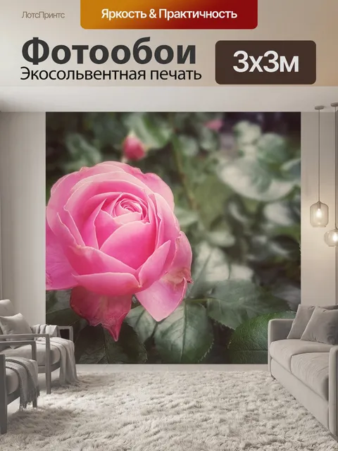 Фотообои Роза
