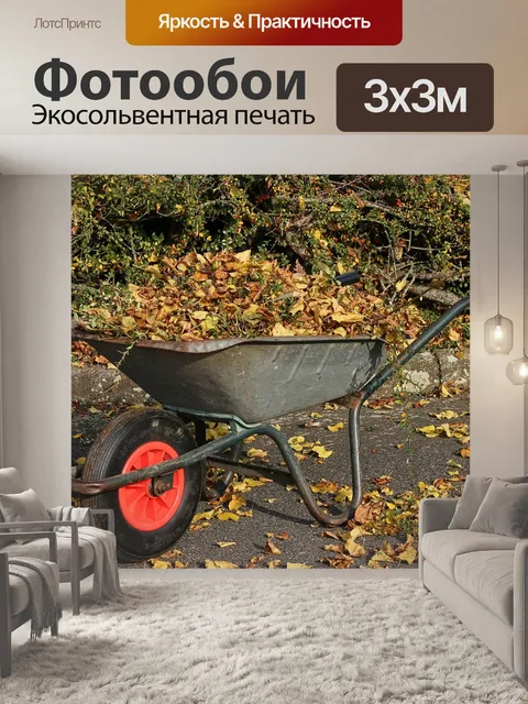 Фотообои Тачки