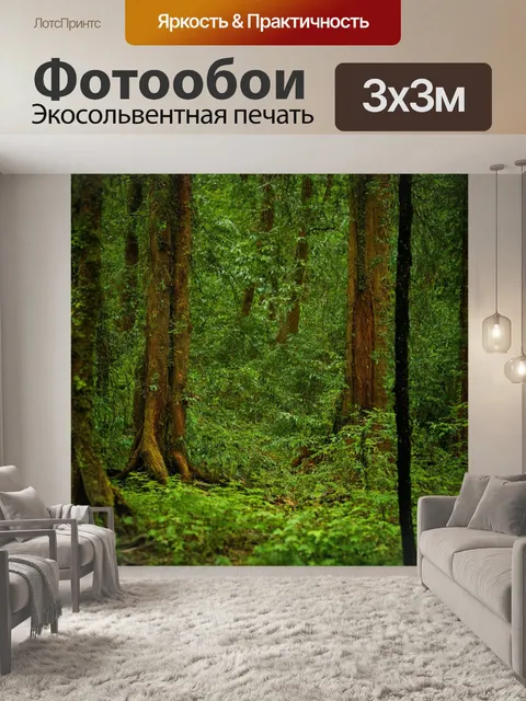 Фотообои лес с дикой природой, проникающей в ту часть леса, где живет много животных