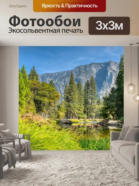 Фотообои Лес