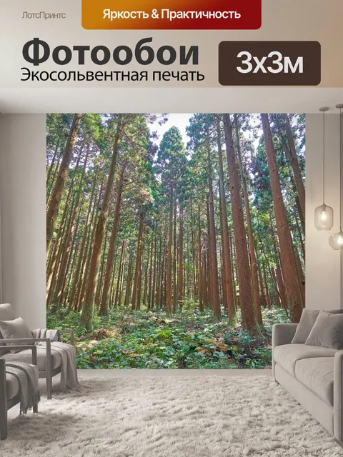 Фотообои Лес