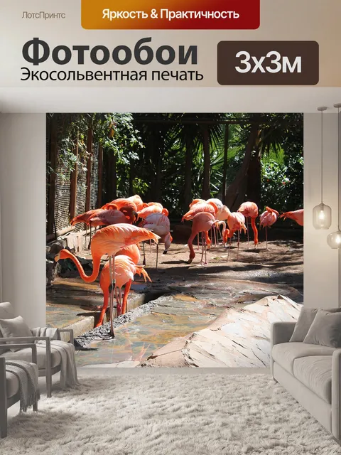Фотообои Фламинго