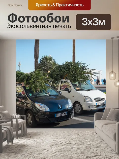 Фотообои Франция