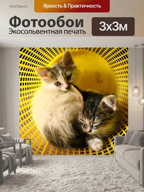 Фотообои Кошки