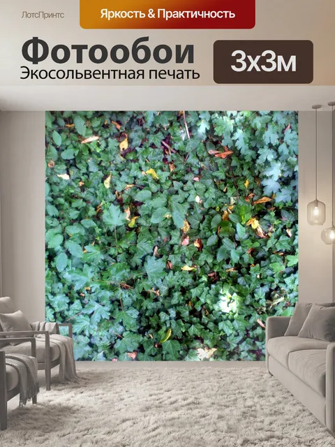Фотообои Лес землю