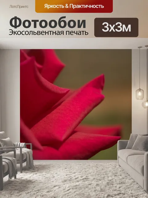 Фотообои Красная роза