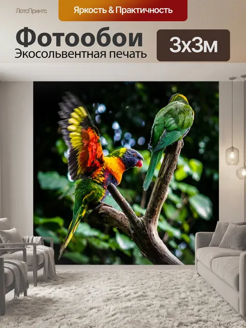 Фотообои Птица