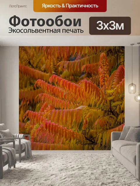 Фотообои Листья