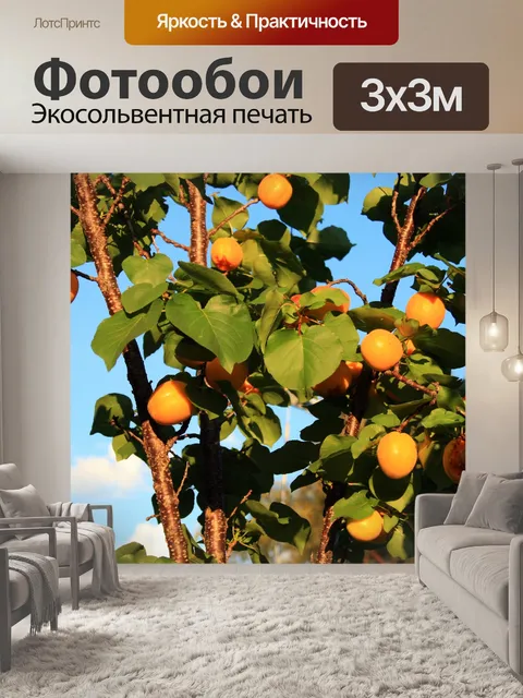 Фотообои Абрикосовое дерево