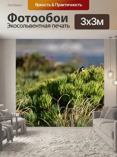 Фотообои Воробей на ветке