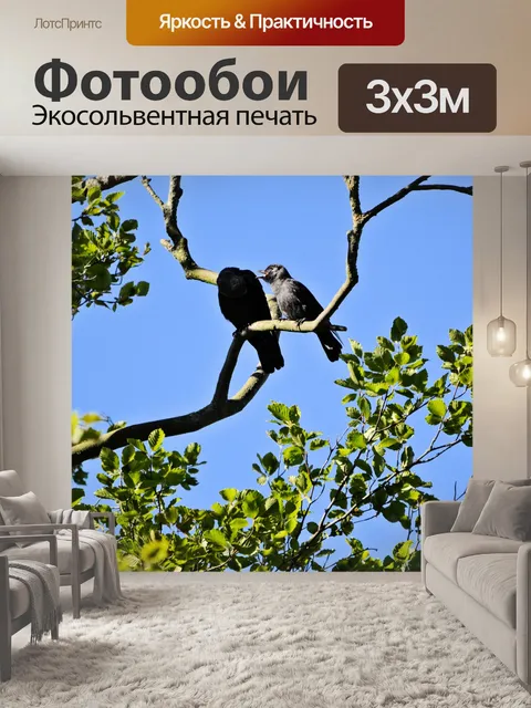 Фотообои Разговор