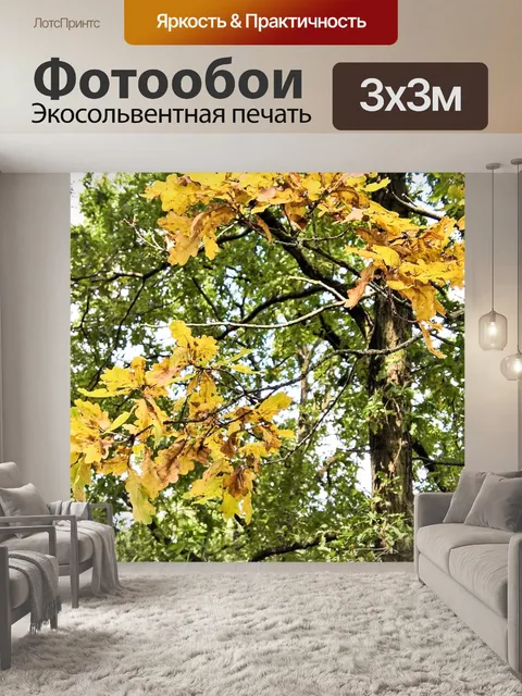Фотообои Дуб