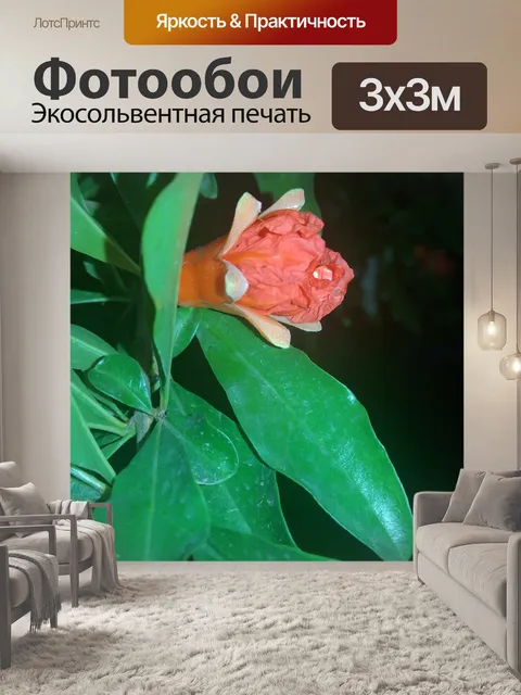 Фотообои Пейзаж
