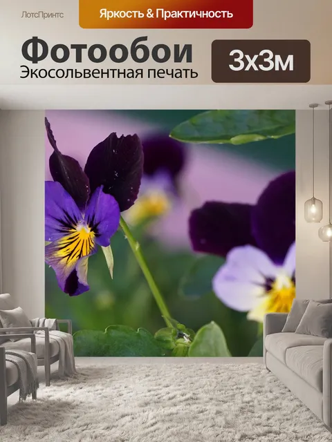 Фотообои Орхидеи