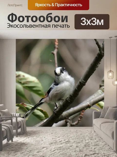 Фотообои Животное