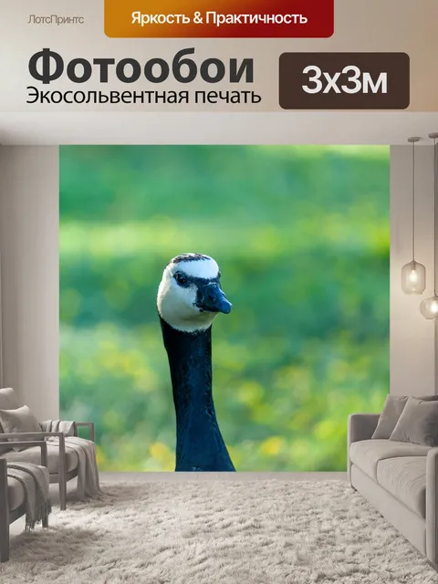 Фотообои Гусь