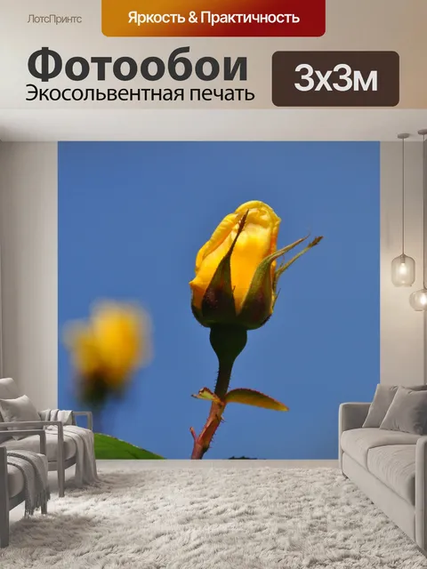 Фотообои Желтый