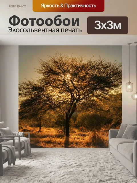 Фотообои Дерево