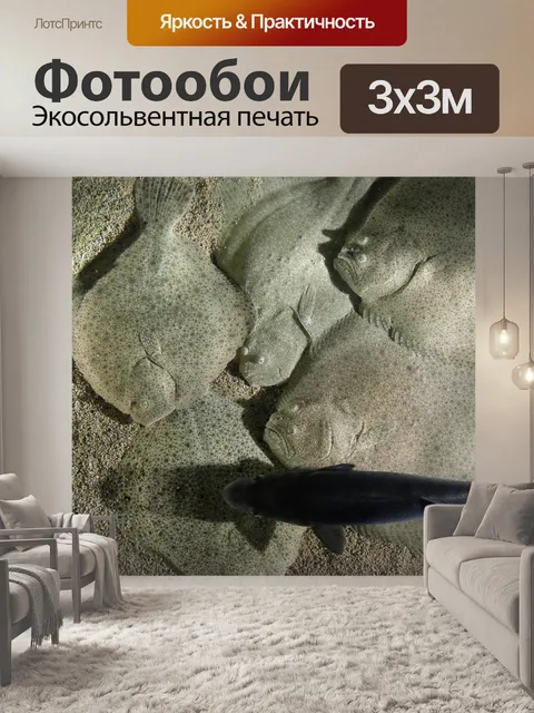 Фотообои Лучи