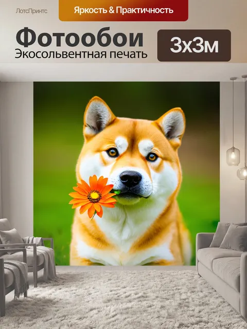 Фотообои эмоциональный крупный план сиба-ину с цветком в зубах