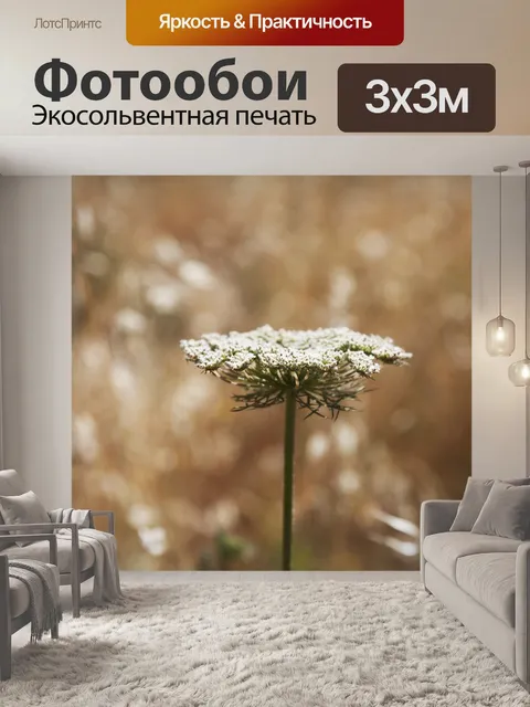 Фотообои Цветы