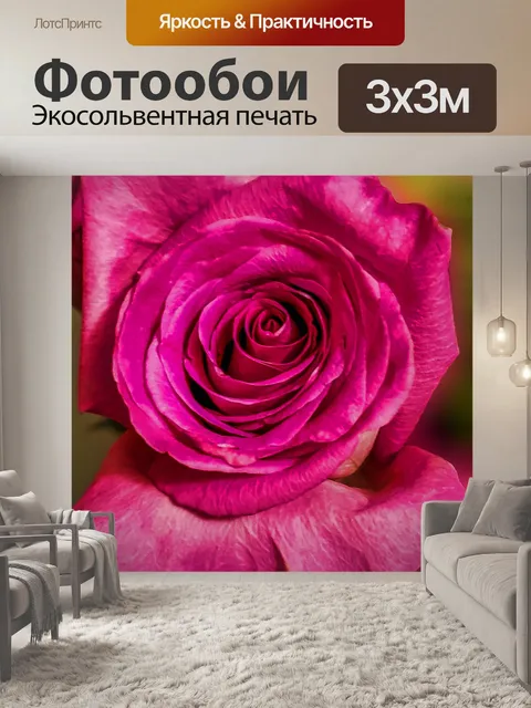 Фотообои Розовая роза