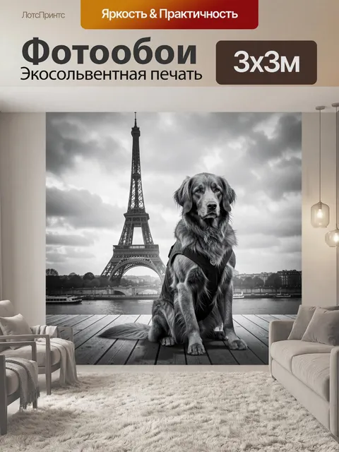 Фотообои Собака у Эйфелевой башни