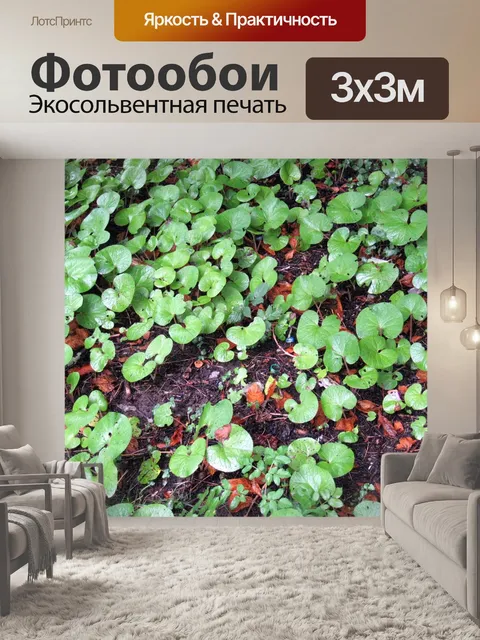 Фотообои Листья
