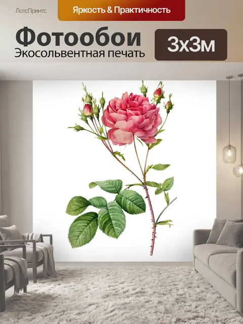 Фотообои Клипарт цветок старинное искусство