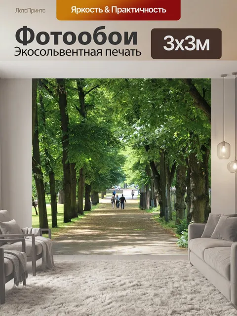 Фотообои Лесная тропа