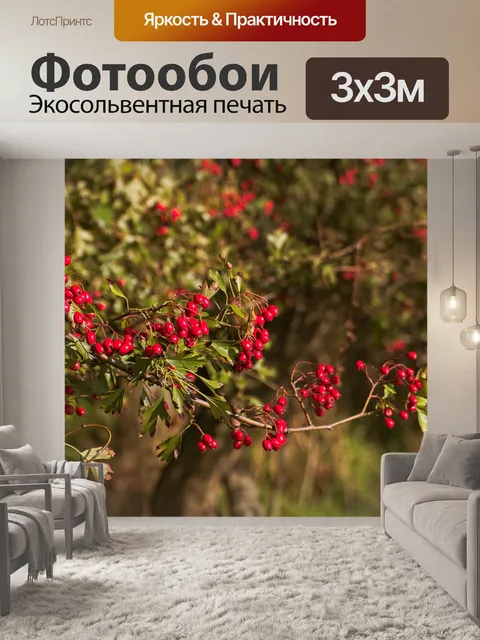 Фотообои Ягода