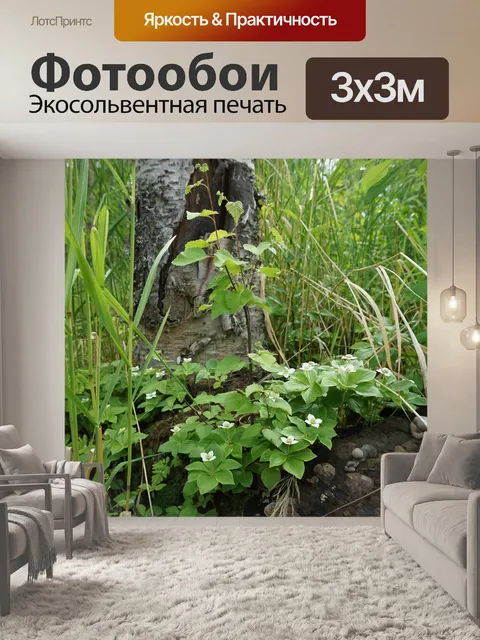 Фотообои Цветы