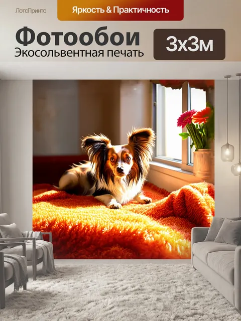 Фотообои собака породы папильон уютно устроилась в мягком пледе, разложенном на ярком ковре