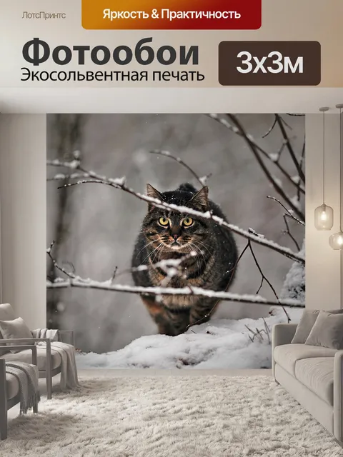 Фотообои Кошка