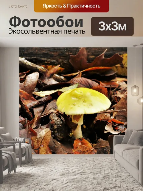 Фотообои Желтый гриб в осенних листьях