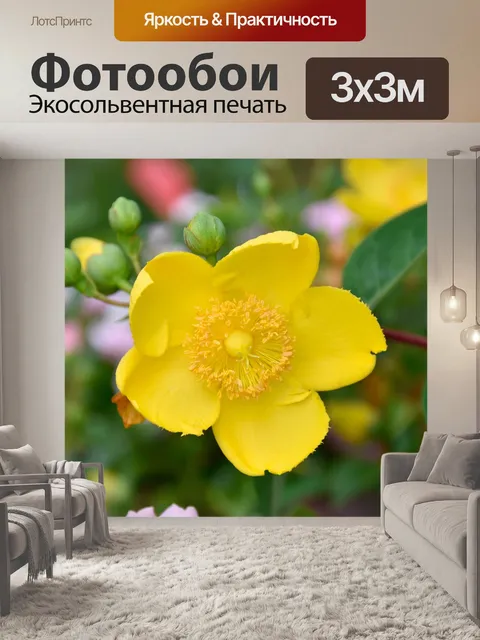 Фотообои Цветы