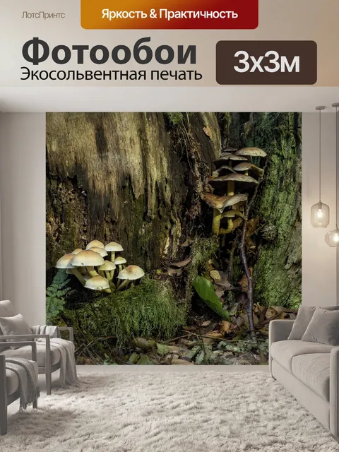 Фотообои Грибы