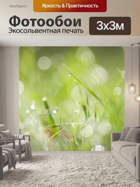 Фотообои утренняя роса на траве