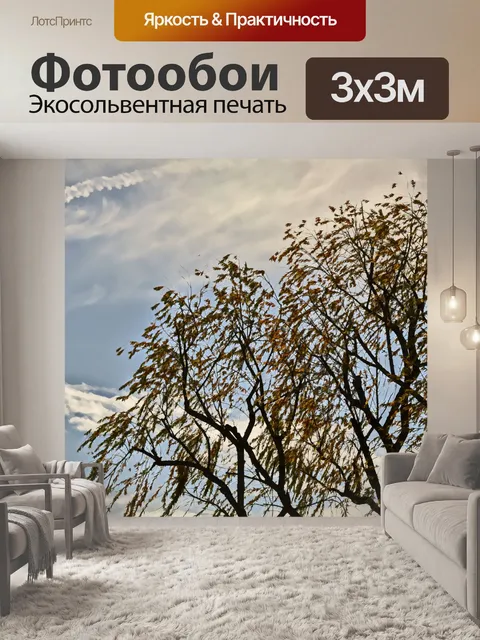 Фотообои Wispy Дерево