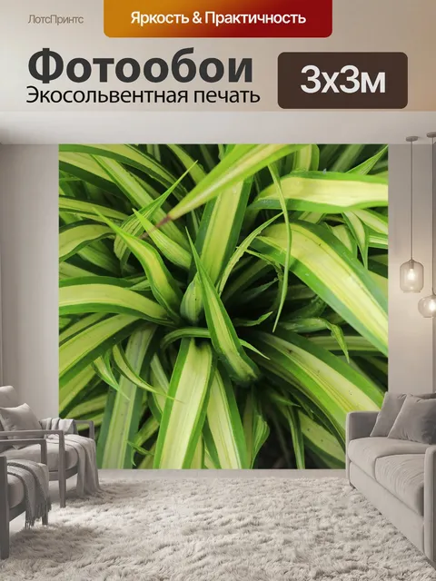 Фотообои Природа