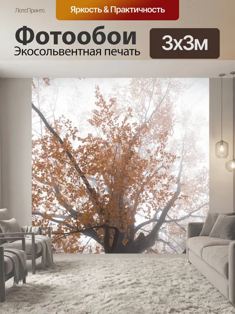 Фотообои Лес