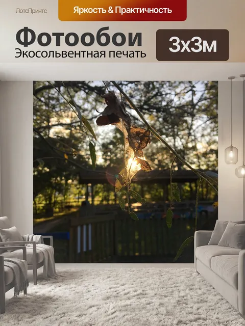 Фотообои Листья