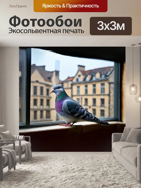 Фотообои голубь сидит на подоконнике старинного здания